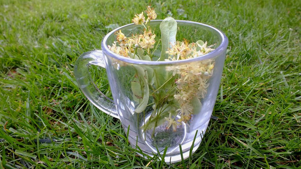 Chá de sabugueiro servido em um caneca de vidro. A caneca está sobre uma grama bem verdinha.
