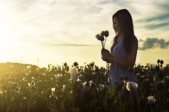 Mulher segurando flores em campo com sol refletindo ao fundo