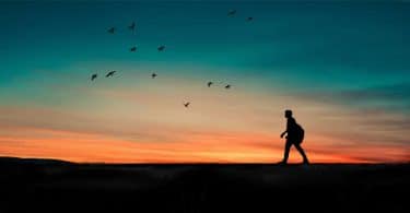 Silhueta de homem caminhando com pôr-do-sol e pássaros ao fundo