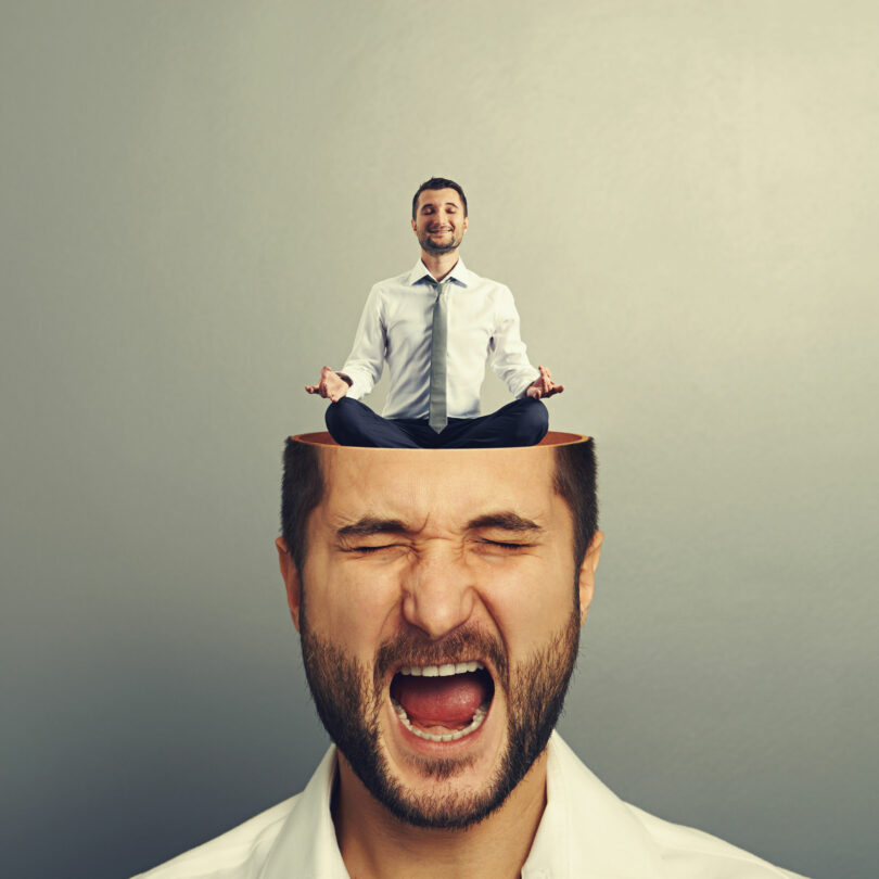 Homem com os olhos fechados e boca aberta como se estivesse gritando. O topo de sua cabeça está cortado, e dentro dela existe uma versão do mesmo homem em miniatura, sentado com as pernas cruzadas e meditando.