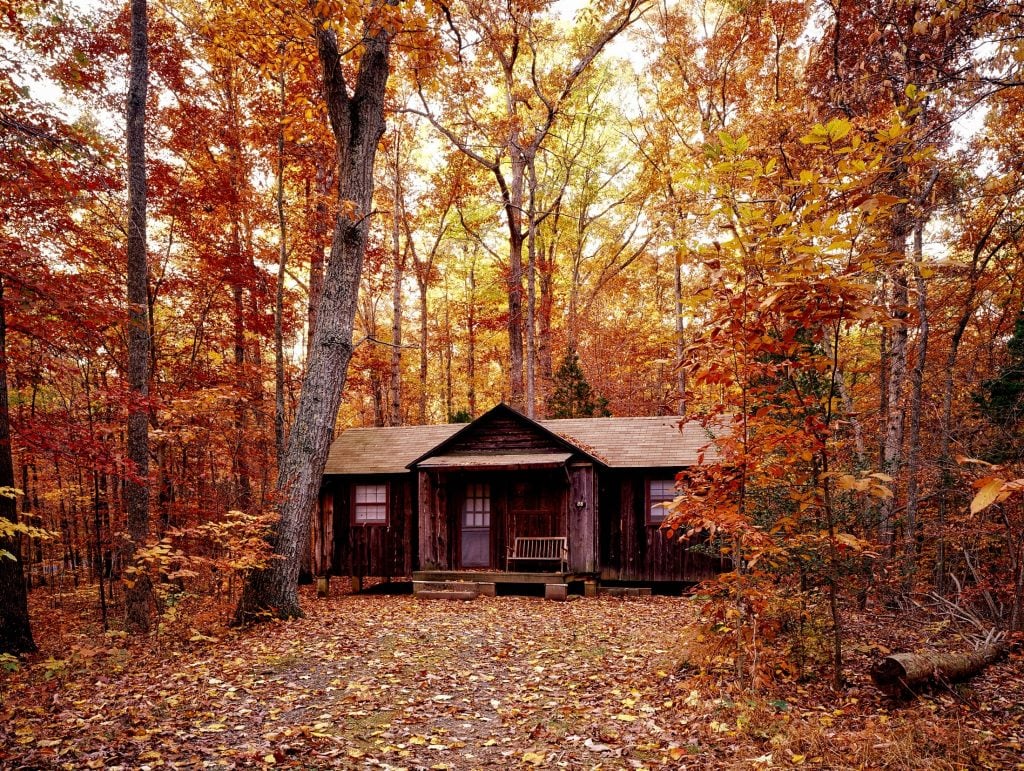 Cabana no meio da floresta no outono