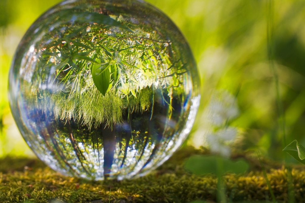 Imagem de uma bola de cristal e dentro dela imagens de folhagens.