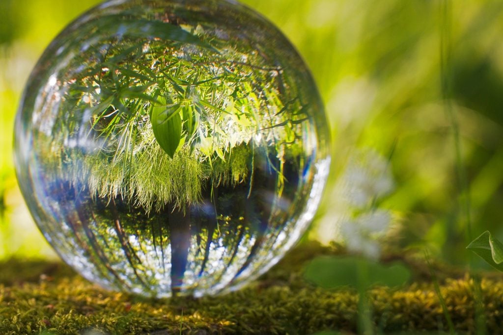 Imagem de uma bola de cristal e dentro dela imagens de folhagens.
