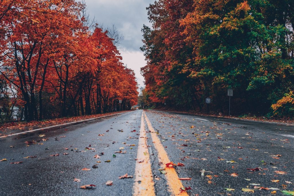 Estrada com folhas de outono no chão e árvores coloridas dos dois lados