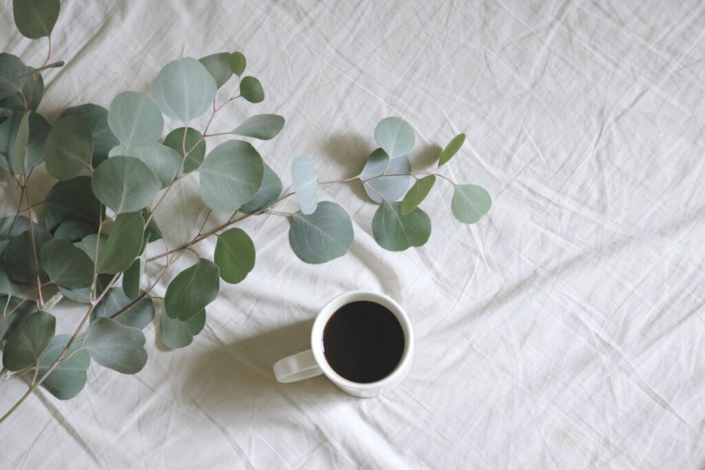 Xícara com chá de eucalipto ao lado da planta em uma cama.