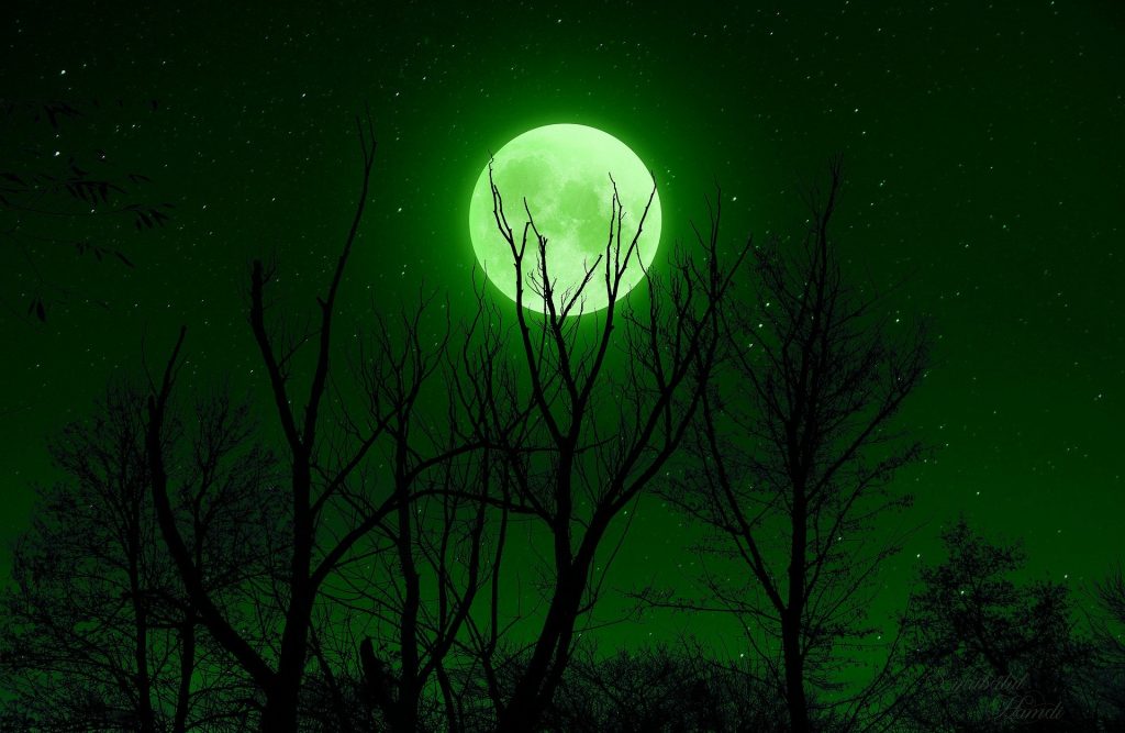 Imagem de uma floresta e ao fundo a lua cheia em uma noite estrelada.
