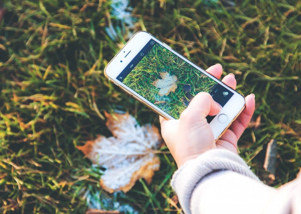 Mão segurando celular tirando foto de folha de outono no chão em meio a grama