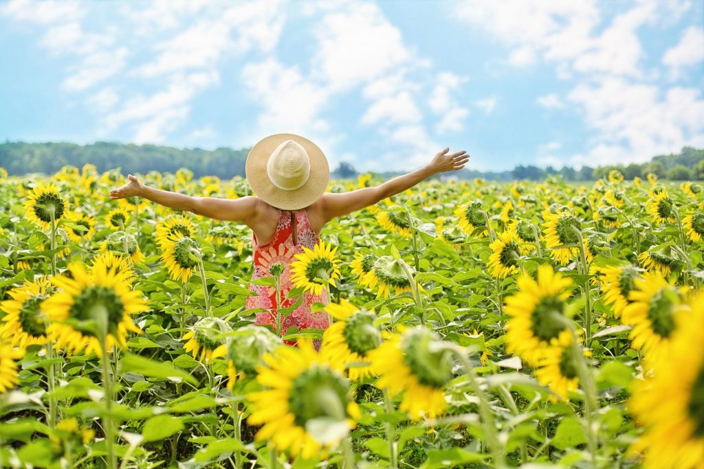 Imagem de uma mulher usando um vestido vermelho e branco e um chapéu de palha. Ela está em um campo de girassol feliz e com os braços abertos.