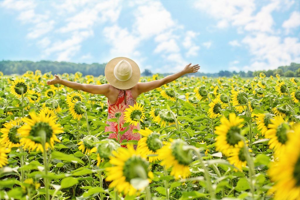 Imagem de uma mulher usando um vestido vermelho e branco e um chapéu de palha. Ela está em um campo de girassol feliz e com os braços abertos.
