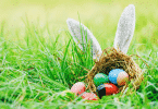 Ovos de páscoa coloridos na grama com um coelho escondido atrás deles