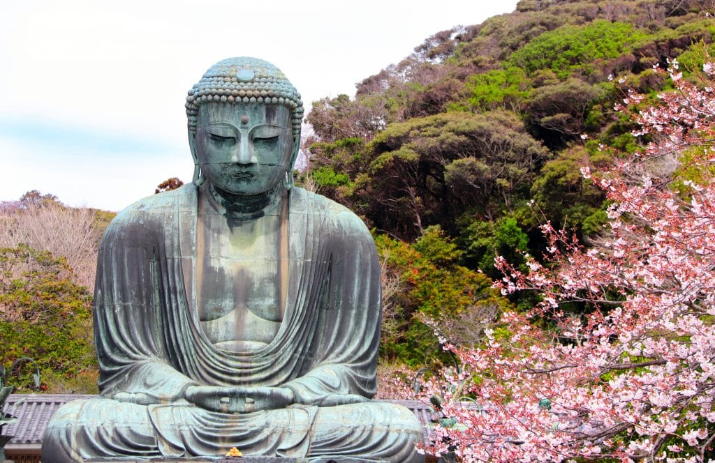 Imagem grande da estátua de Budaem um templo japonês. Ao fundo da imagem uma serra com muitas árvores verdes e uma flor de cerejeira na cor rosa.