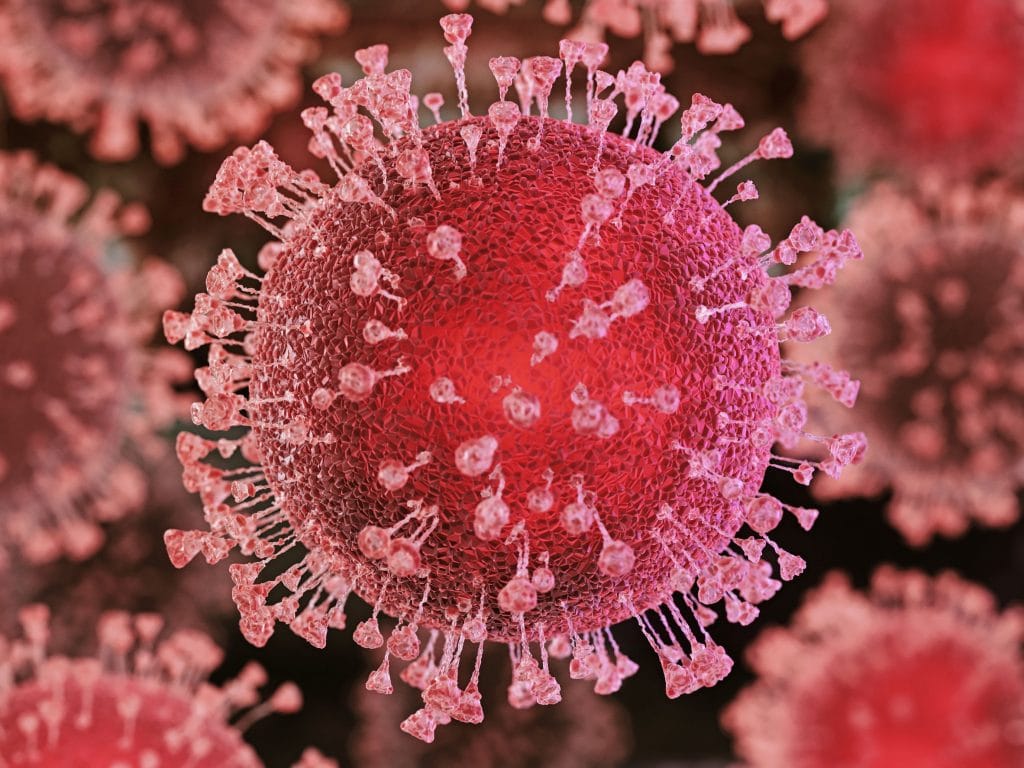 Imagem microscópica em 3D do novo coronavírus: uma bola vermelha, com pequenos espinhos saindo por todos os lados.