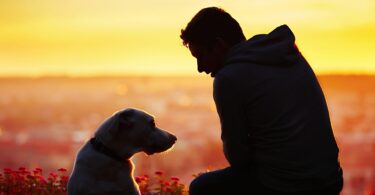 Silhueta de um homem com um cachorro ao lado, no terraço de um prédio, ao pôr do sol.