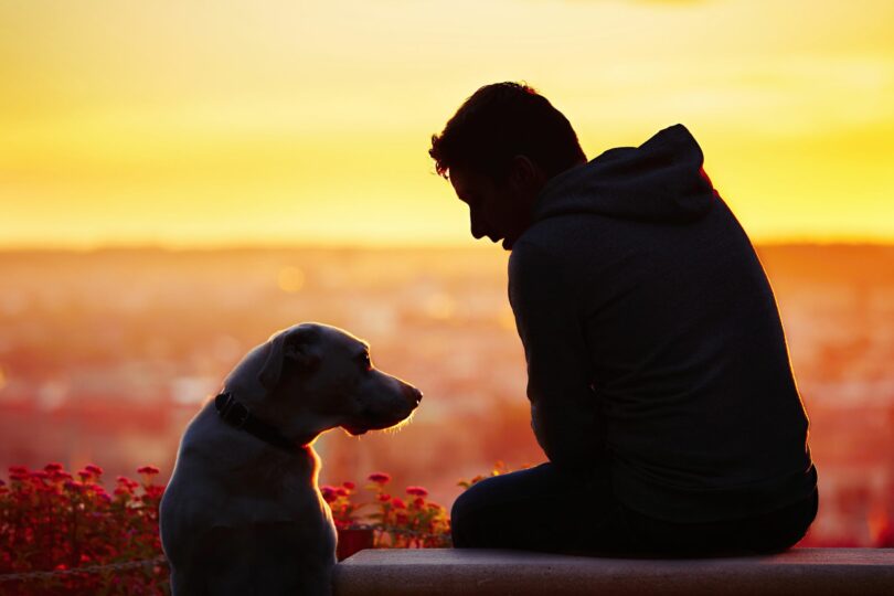 Silhueta de um homem com um cachorro ao lado, no terraço de um prédio, ao pôr do sol.