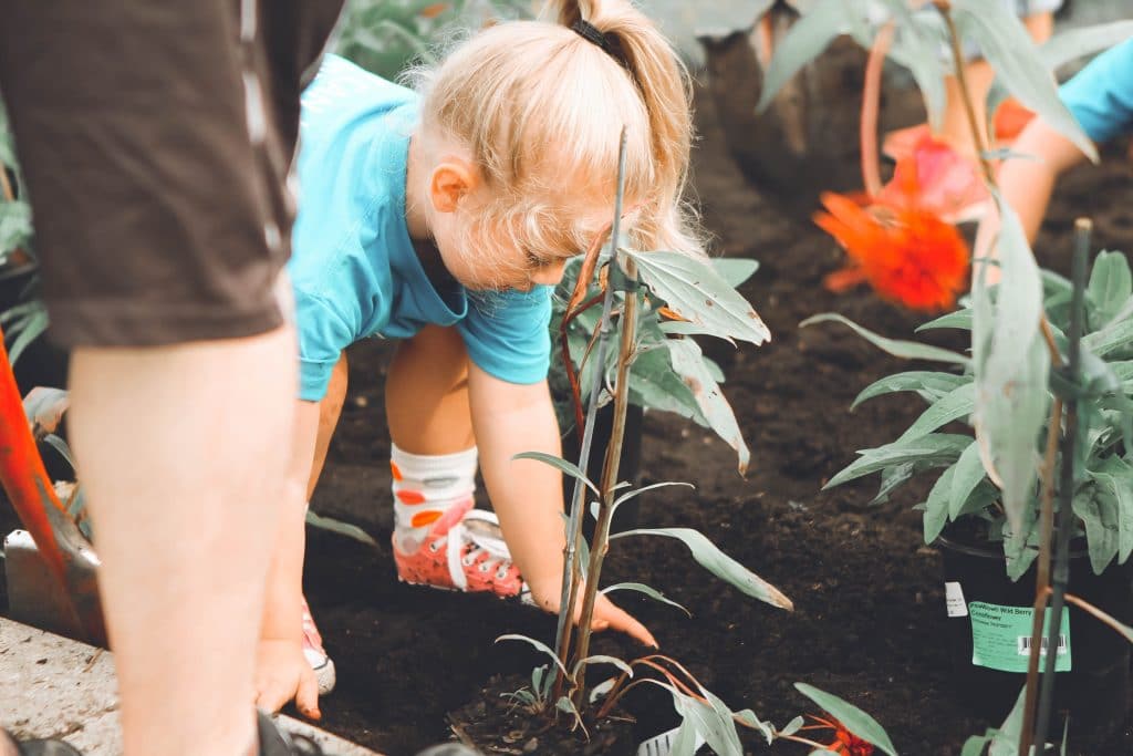 Criança menina fazendo trabalho voluntário ao plantar uma árvore.