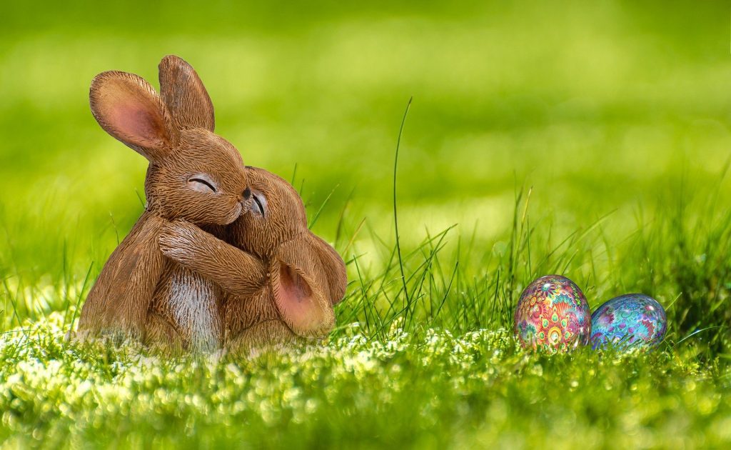 Imagem de dois coelhos em um campo verde. Eles estão se abraçando. Ao lado dois ovos de Páscoa coloridos.
