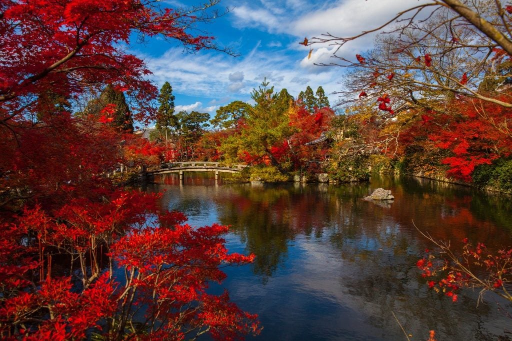 Imagem de um lindo jardim japonês localizado no centro da cidade. Temos muitas árvores com folhagens na cor vermelha sobre um lindo lago.
