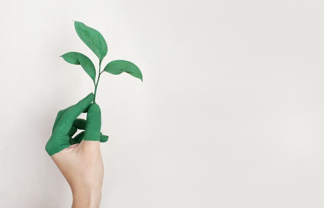 Mão pintada de verde segurando galho de planta 