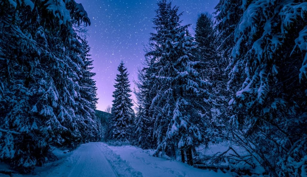 Árvores cobertas com neve e um céu estrelado escurecendo em tons de violeta.