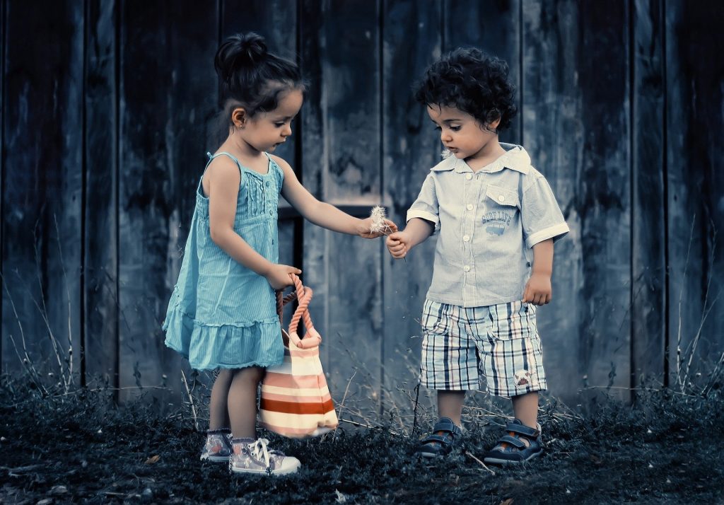 Menina dando para um menino uma flor dente de leão