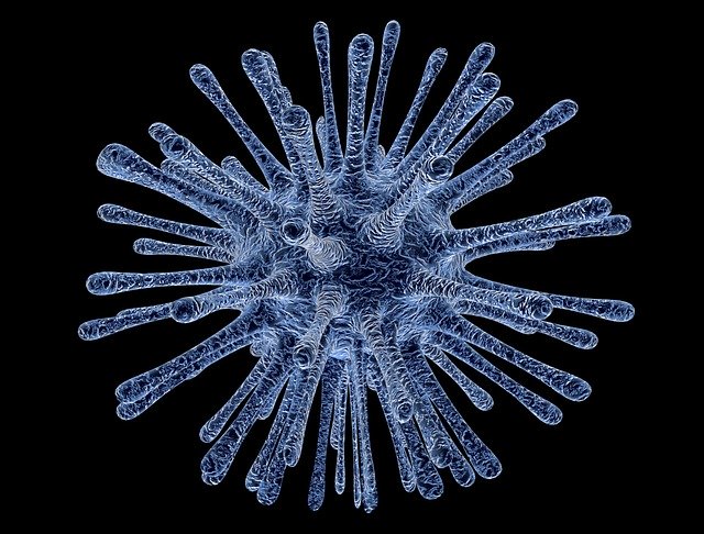 Imagem microscópica de vírus. Ele é azul e possui muitas pontas saindo de um círculo central.