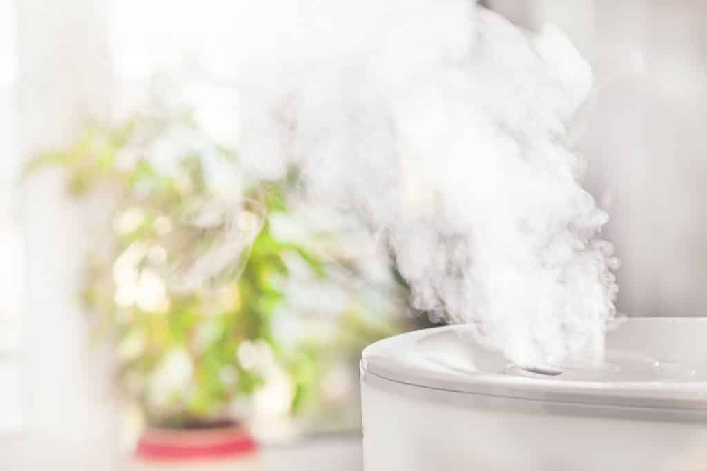 Imagem de um vaporizador branco.