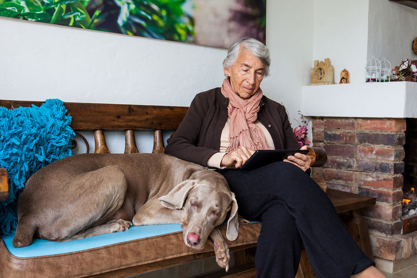 Mulher idosa em casa, com um cachorro deitado ao seu lado. Ela está com as pernas cruzadas e usando um tablet que está apoiado em suas coxas.