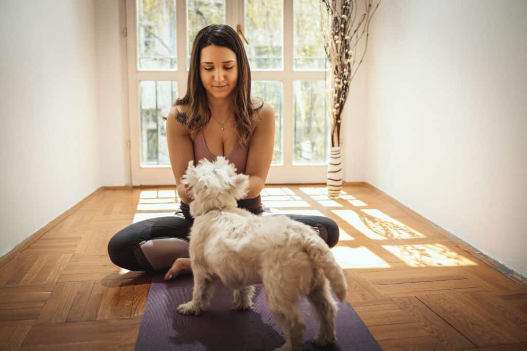 Mulher sentada de pernas cruzadas em tapete de ioga, fazendo carinho em um cachorro.