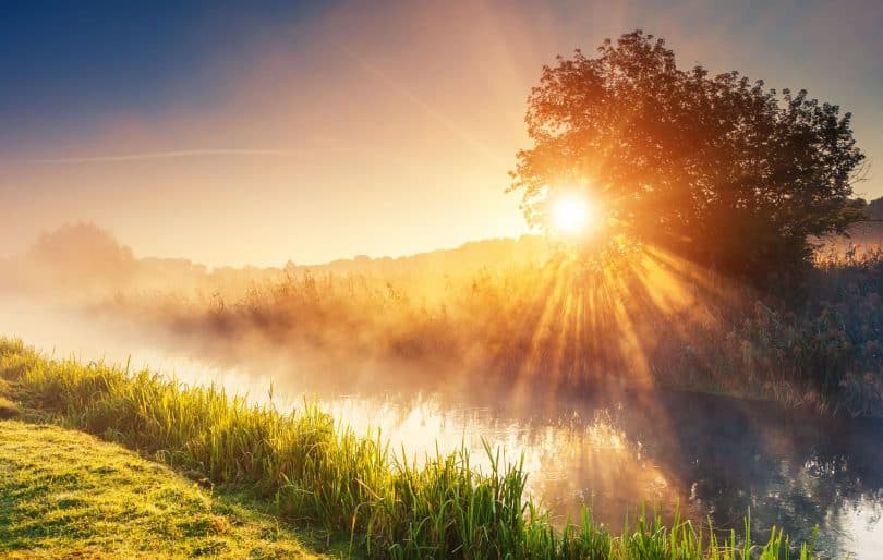 Luz solar em ambiente externo com rio, árvores e grama.