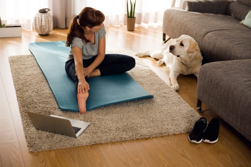 Mulher sentada no chão da sala de estar, alongando-se, ao lado de seu cachorro e de um laptop.