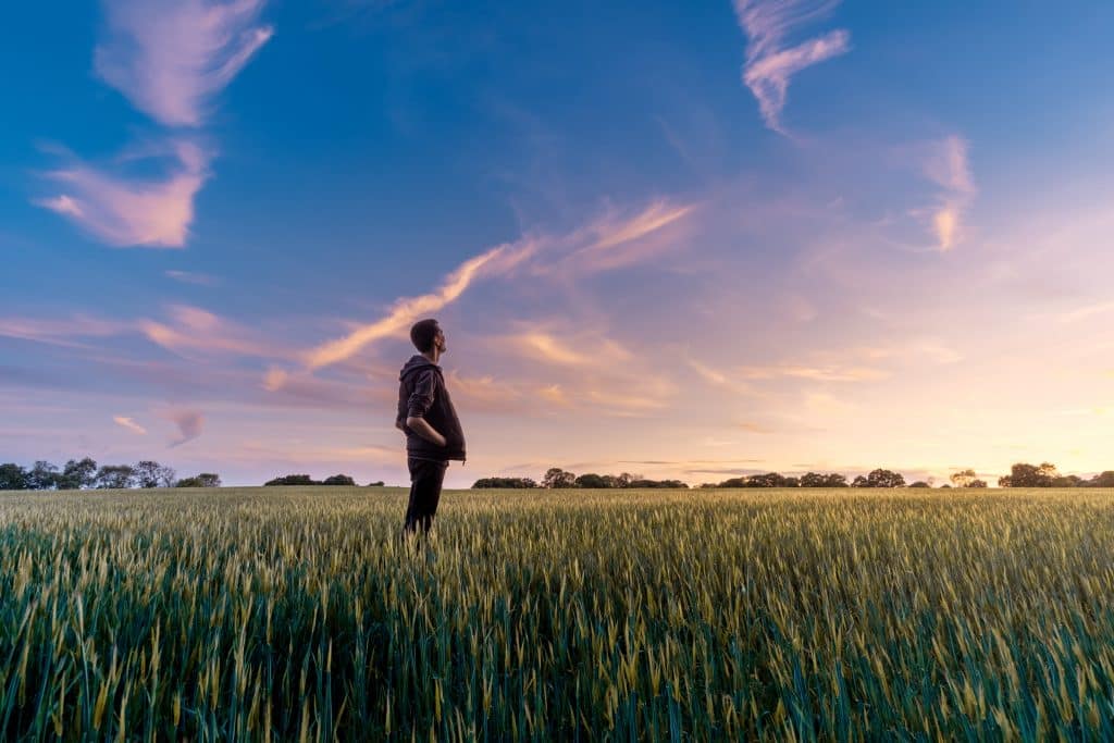 Homem em um campo olhando para o céu 