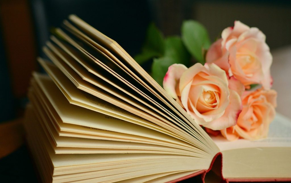 Imagem de um livro espírita aberto e sobre ele um ramalhete pequeno de rosas alaranjadas.