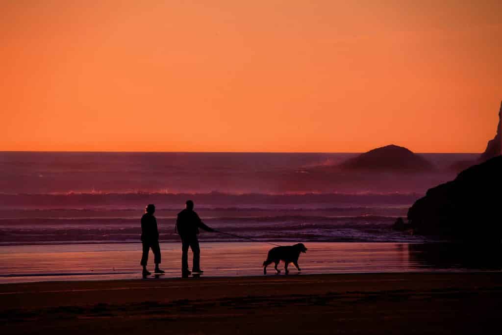 Imagem de um lindo por do sol no mar. Na areia da praia caminham juntos um casal de idosos e o seu cão guia.
