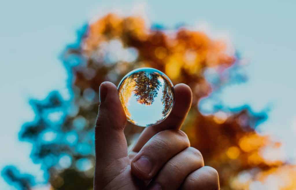 Homem segurando uma bolinha transparente refletindo uma árvore