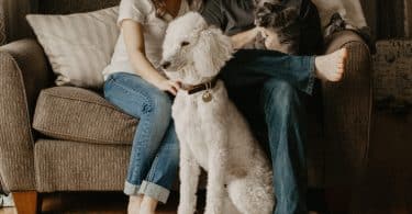 Homem e mulher sentados no sofá ao lado de um cachorro.