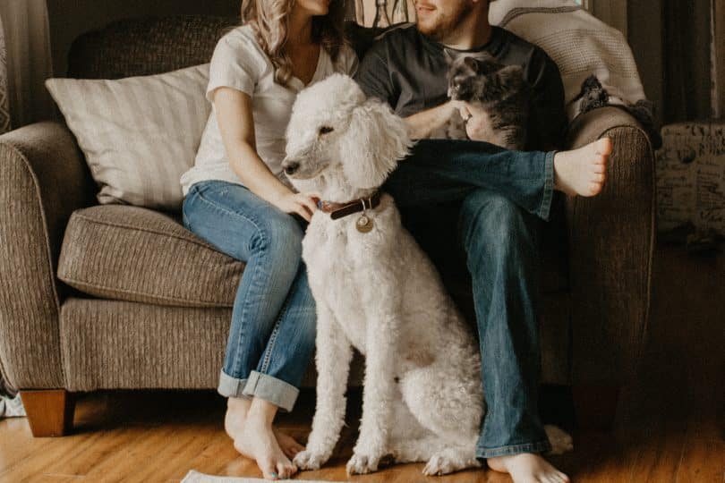 Homem e mulher sentados no sofá ao lado de um cachorro.