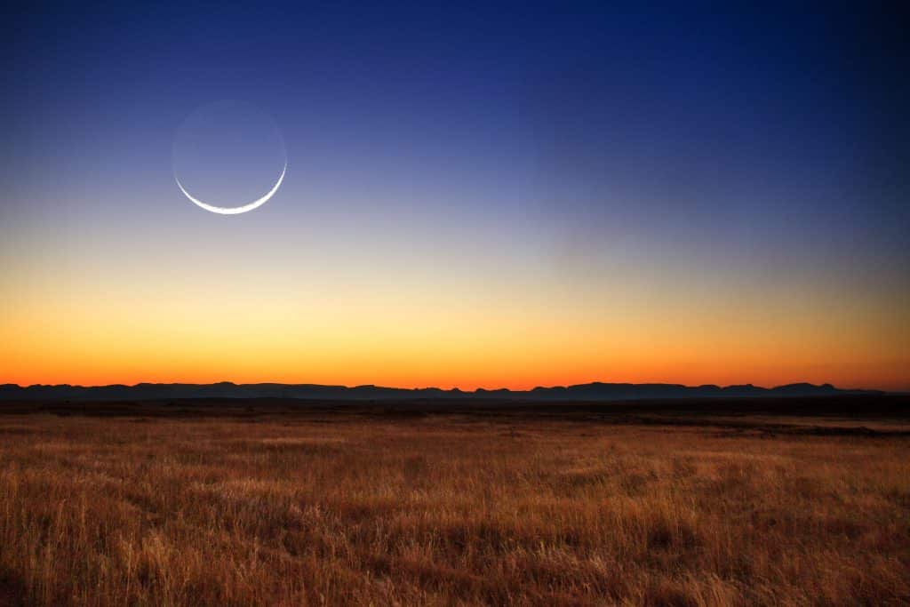 Lua nova durante pôr-do-sol, em uma savana.