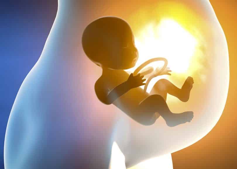 Ilustração de bebê dentro da barriga