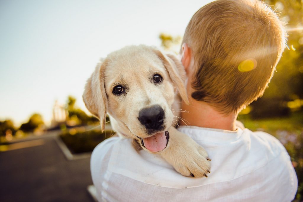 Imagem de um garoto loiro andandoo em uma rua. Ele carrega em seu colo um filhote de um cachorro na cor bege claro.
