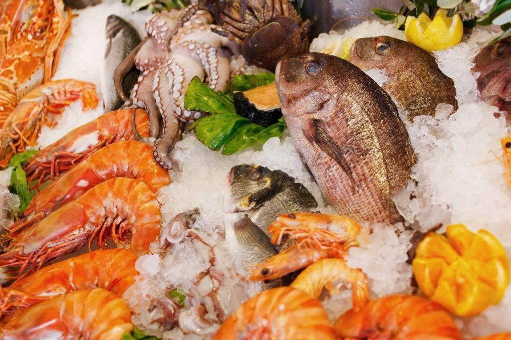Imagem de vários frutos do mar como camarões grandes e pequenos, peixes, lula. Estão sobre o gelo.