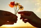 Silhueta de mãos uma entregando flores para outra com sol refletindo