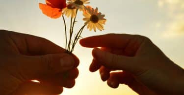 Silhueta de mãos uma entregando flores para outra com sol refletindo