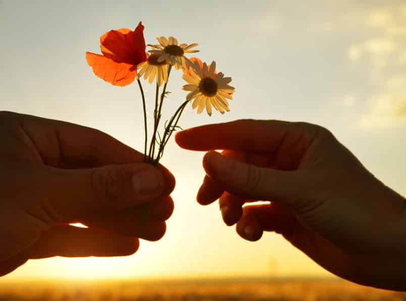 Silhueta de mãos uma entregando flores para outra com sol refletindo