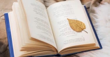 Livro de poesias sobre uma mesa de madeira, com uma folha caída sobre suas páginas.