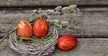 Imagem de um ninho com dois ovos pintados na cor vermelho dentro dele. O ninho representa o significado do símbolo da Páscoa.