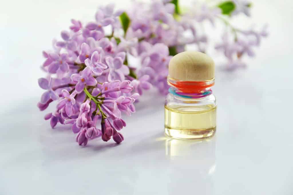 Imagem de um pequeno frasco de vidro contendo óleo de mirra. Ao lado do frasco um lindo ramo de flor na cor roxa.