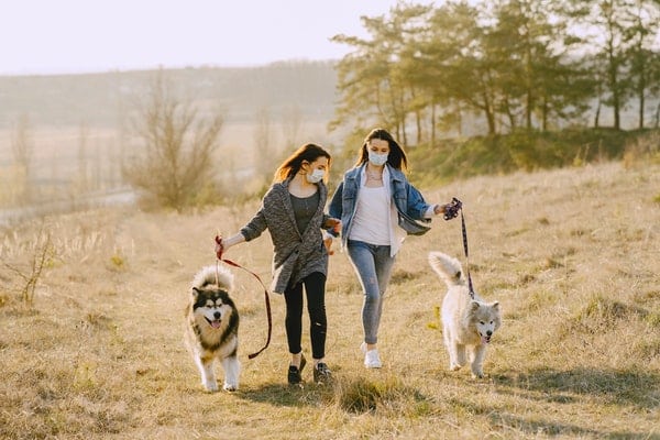 Amigas passeando com seus cachorros em parque com máscaras nos rostos