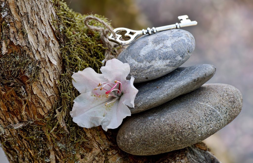 Imagem de três pedras sobrepostas em um tronco de uma árvore e ao lado uma linda flor branca representando a espiritualidade.