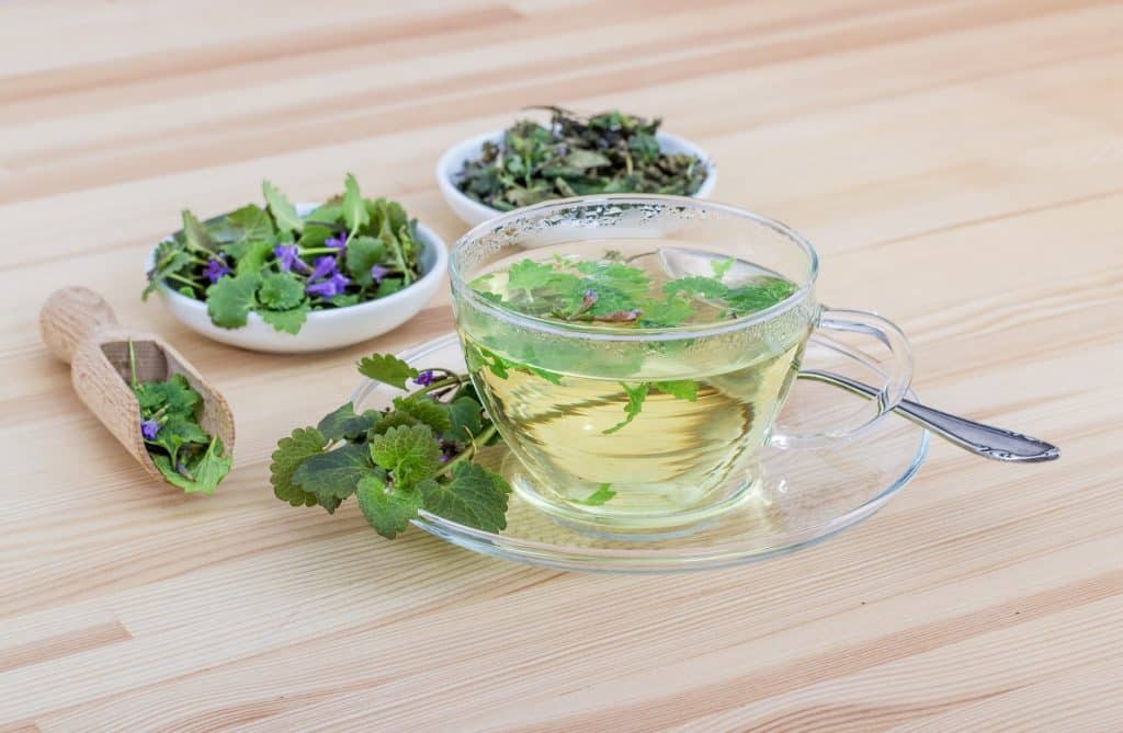 Imagem de um chá para dor de estômago e fígado. Ele está sendo servido em uma xícara de vidro. Ele é feito de espinheira santa e outras ervas.
