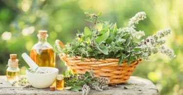 Plantas medicinais em uma cesta em uma mesa de pedra com óleos ao lado